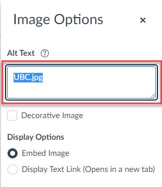 A box labelled Alt Text is circled in red. Inside the box there is highlighted text which says UBC.jpg.