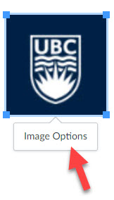 A photo of the UBC logo is selected. A red arrow points at a pop-up below the logo. The pop-up is labelled Image Options.